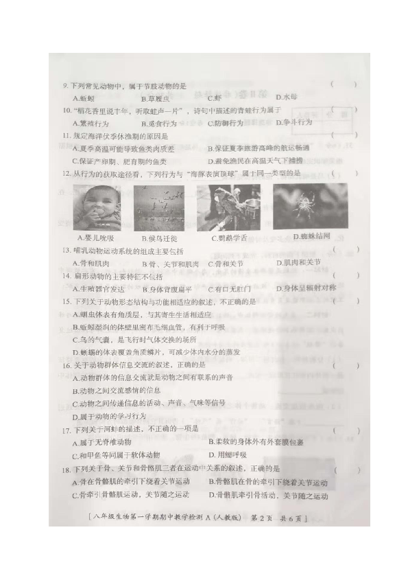 陕西省榆林市定边县第五中学2019-2020学年八年级上学期期中检测生物试题（图片版，含答案）