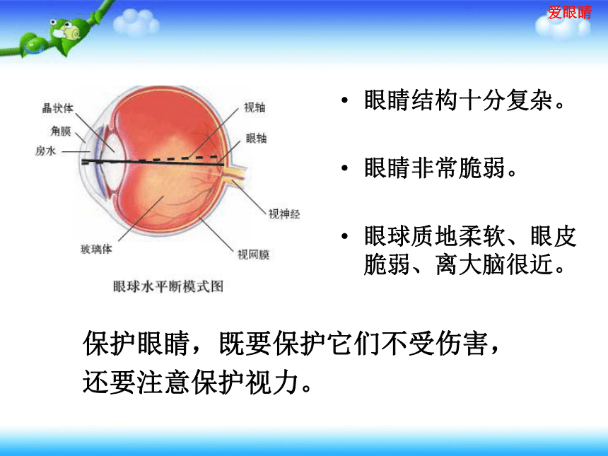 爱眼日教育 课件（27张幻灯片）