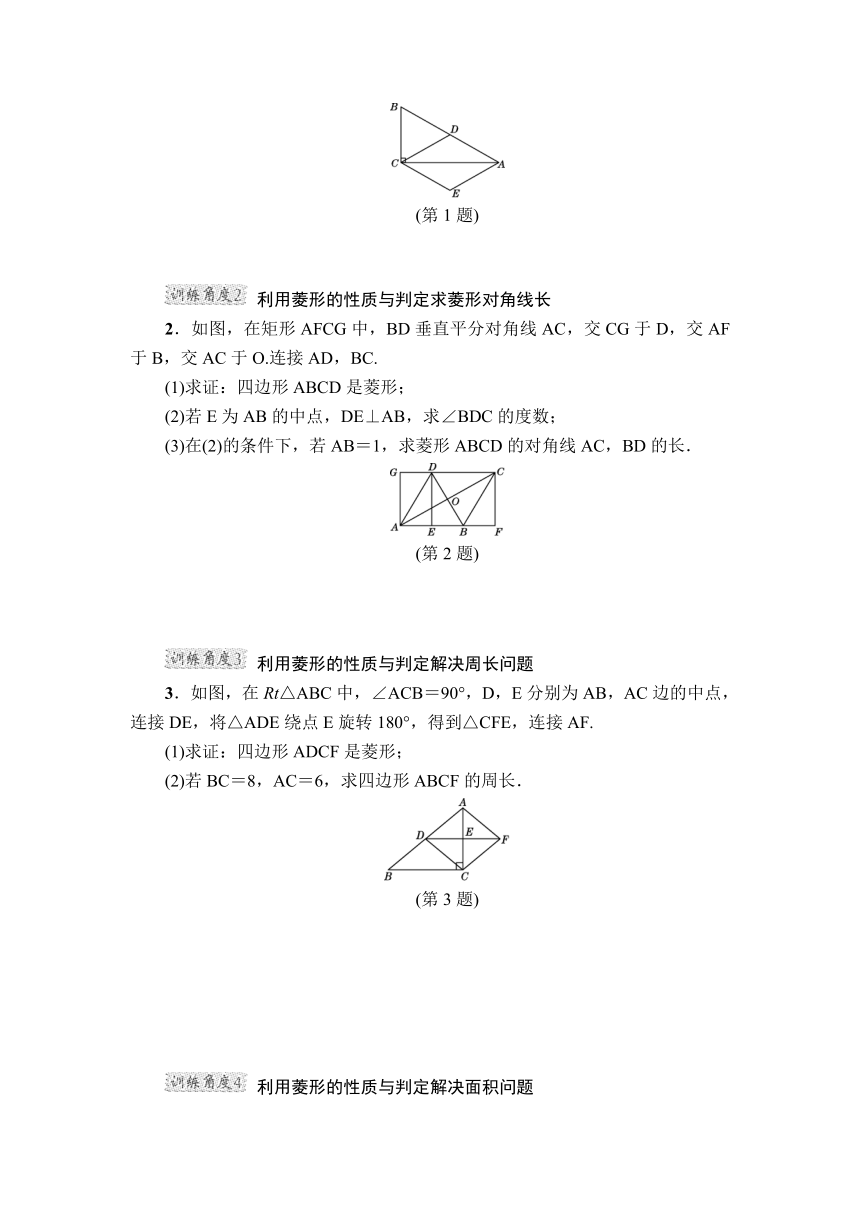 第18章 平行四边形 专项训练2（含答案）