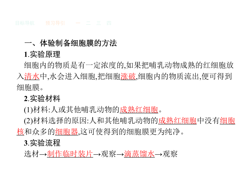 人教版生物必修1同步教学课件：3.1 细胞膜——系统的边界