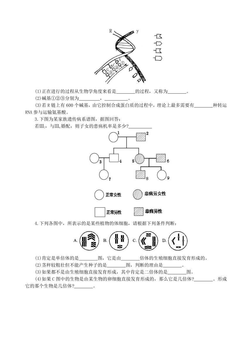 遗传与变异试题检测[下学期]