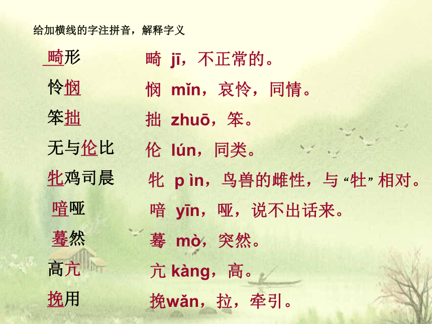 《瓦尔凳湖（节选）》 课件(共31张PPT)