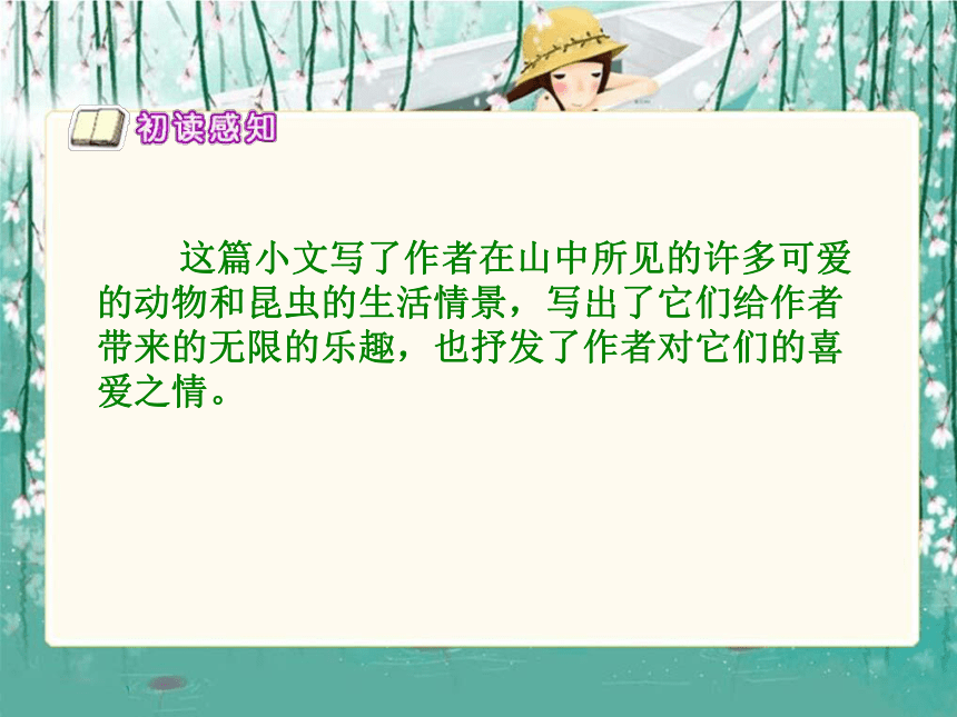 (北师大版)六年级语文下册课件-山中杂记