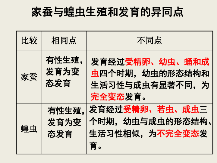 人教版八下生物 7.1.3两栖动物的生殖和发育 课件（共22张PPT）