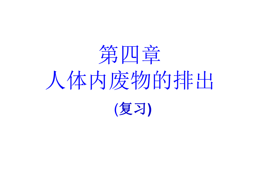 第四章  人体内废物的排出复习课件