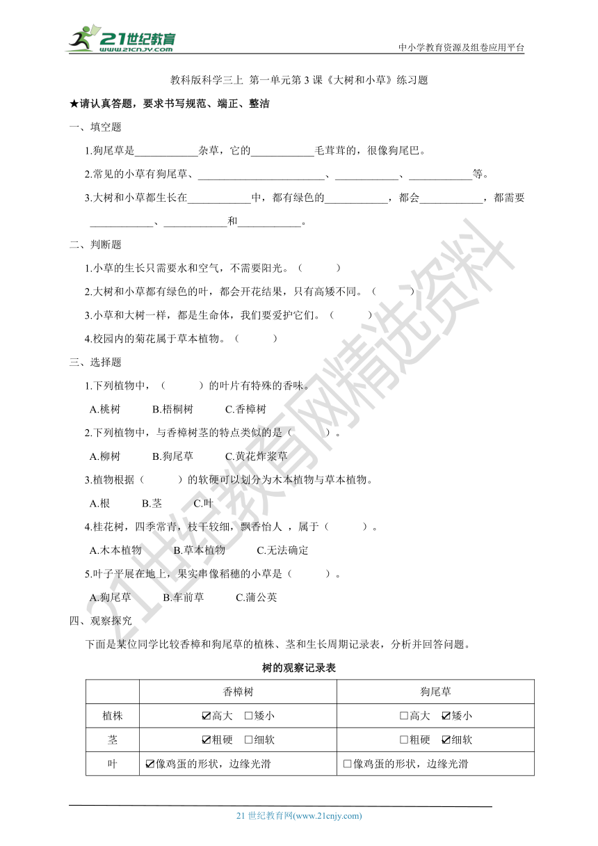 教科版科学三上 1.3《大树和小草》练习题