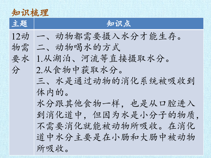 四年级下册科学课件-第2单元 动物的需求 复习课件-粤教版 (共21张PPT)