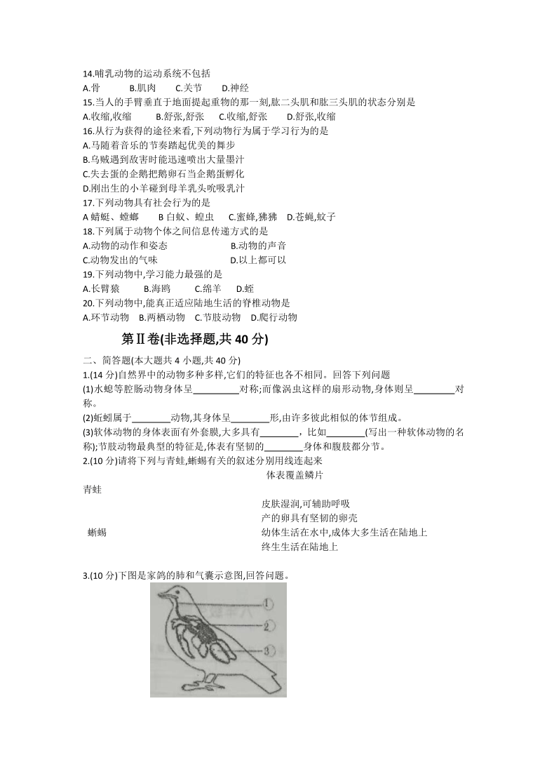 陕西省宝鸡市陈仓区2020-2021学年八年级上学期期中质量检测生物试题（word版）(含答案)