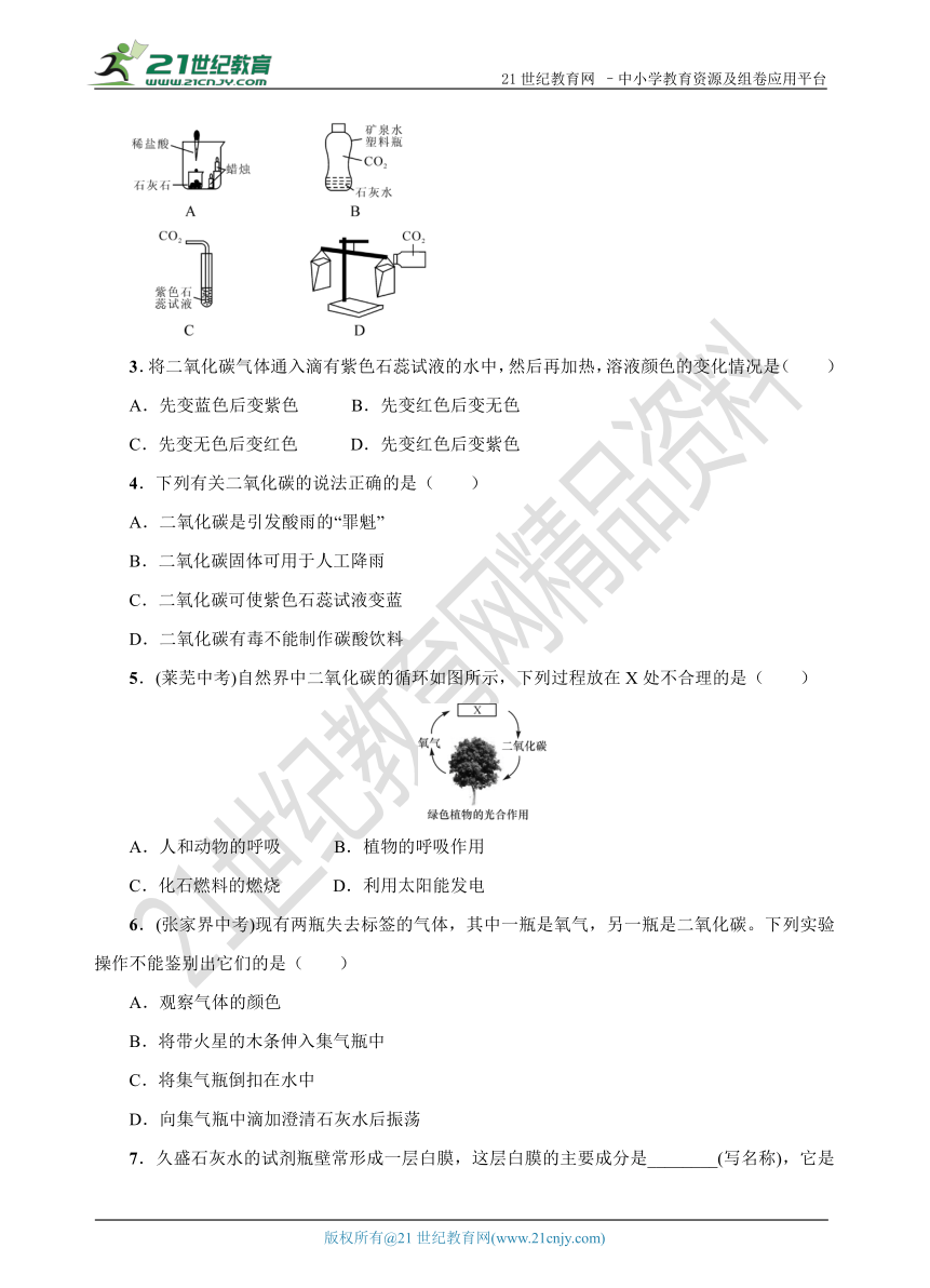 【期末复习】第六单元 第三节 大自然中的二氧化碳 期末复习备考学案