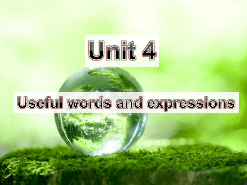 Unit 4 Global warming Useful words and expressions 课件（共46张PPT）