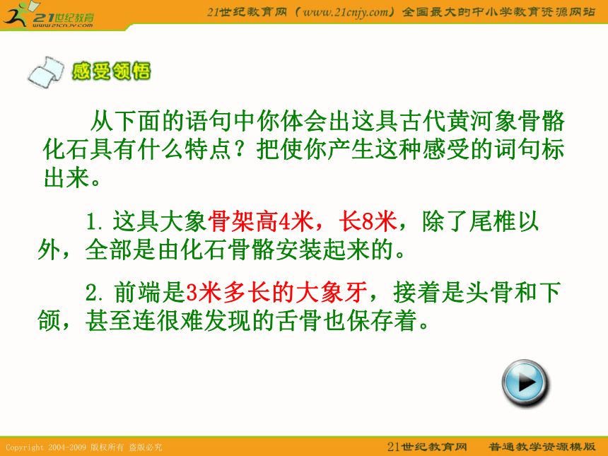 六年级语文下册课件 黄河象 2（北京版）