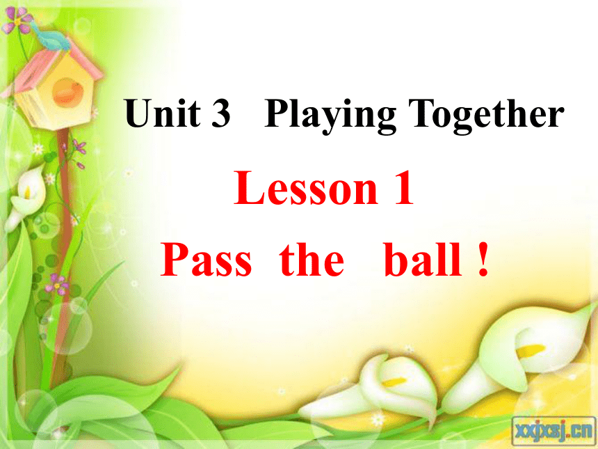 Lesson 1 Pass the ball! 课件