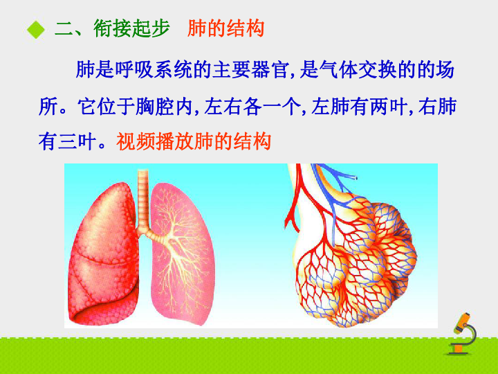 《发生在肺内的气体交换》课件（第一课时）(共21张PPT)