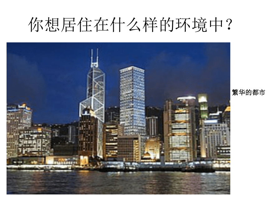 我的空中楼阁