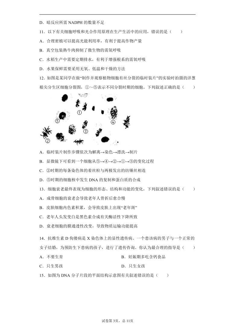 浙江省宁波市2020-2021学年高一下学期期中生物试题（word版 含解析）