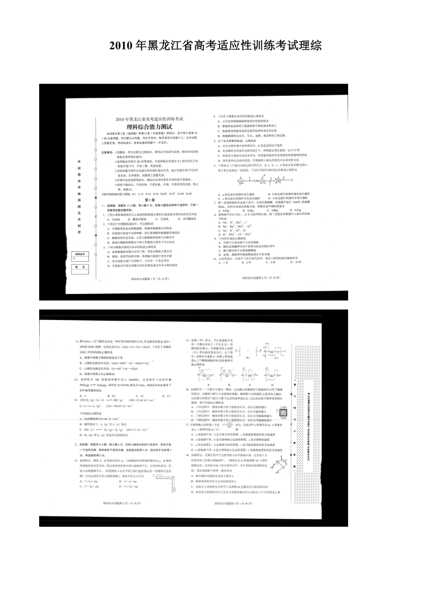 黑龙江省2010年高考适应性训练考试（理综扫描版）
