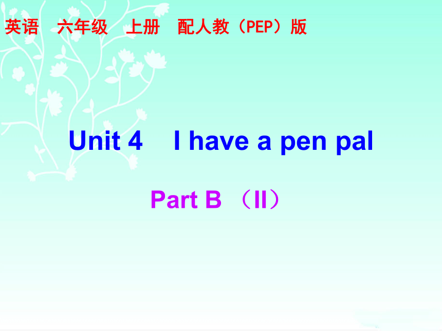 Unit 4 I have a pen pal Part B 练习课件（含答案） (共27张PPT)
