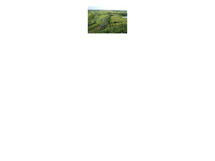 人教版初中地理八年级下册课件 9-2高原湿地——江河的源地(21张ppt)