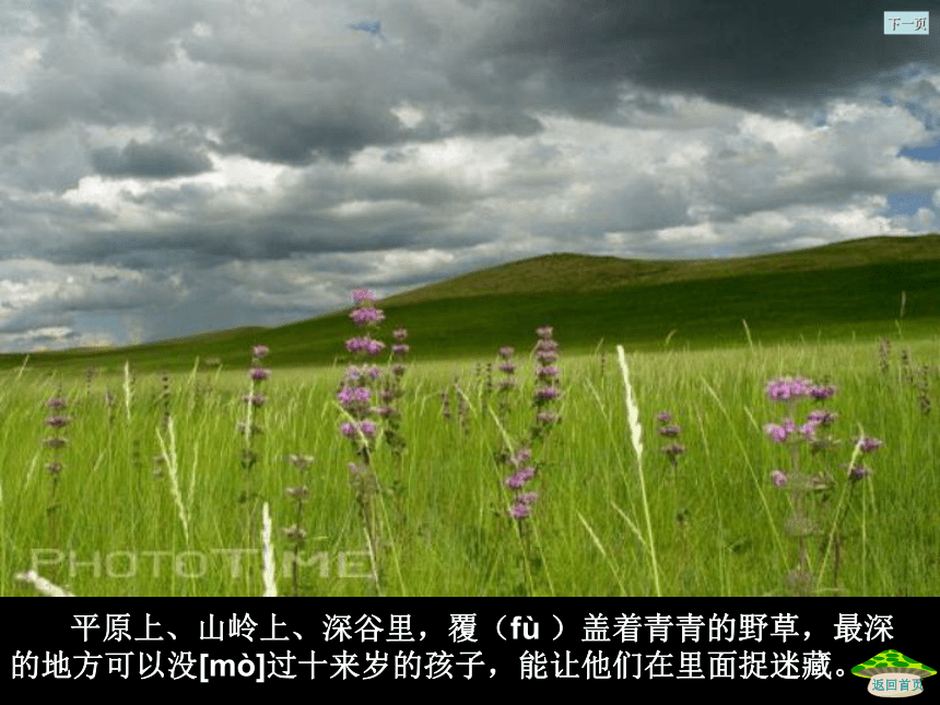 语文三年级下北京版3.9《锡林郭勒大草原》课件2