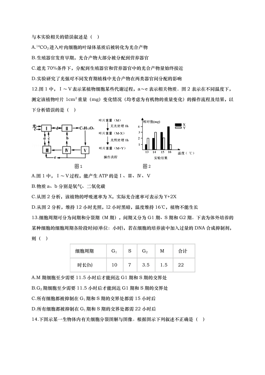 陕西省黄陵中学2017届高三上学期期末考试生物试题（普通班）