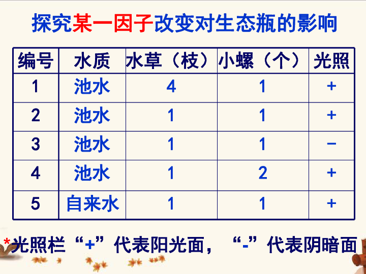 5.3 生态系统的稳定性——探究某一因子改变对生态瓶的影响 课件(共12张PPT)