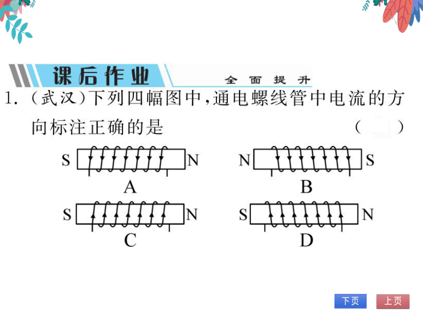 【北师大版】物理九年级全册 14.3 电流的磁场  习题课件