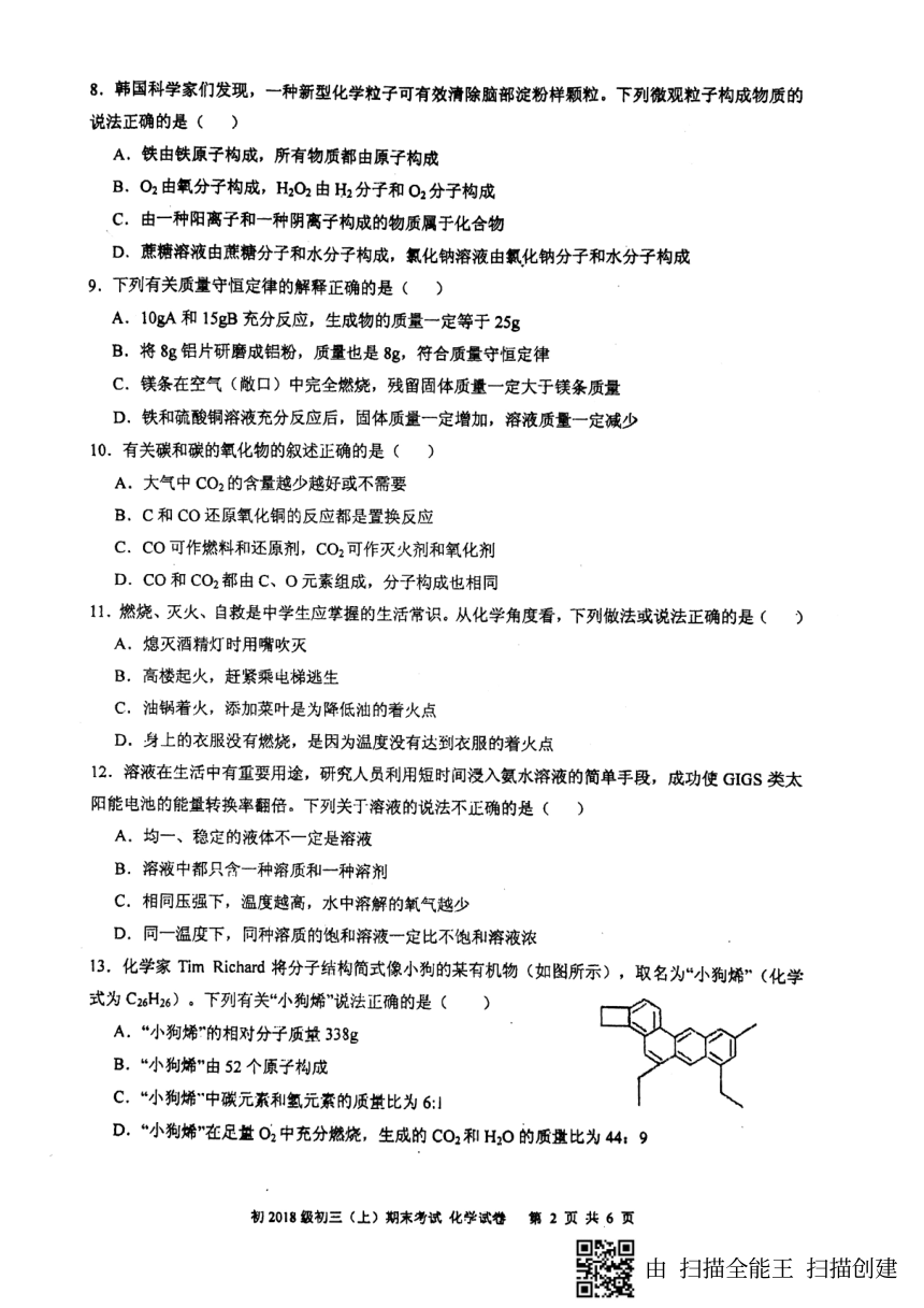 重庆市外国语学校2018级初三上化学期末考试卷（图片版，无答案）