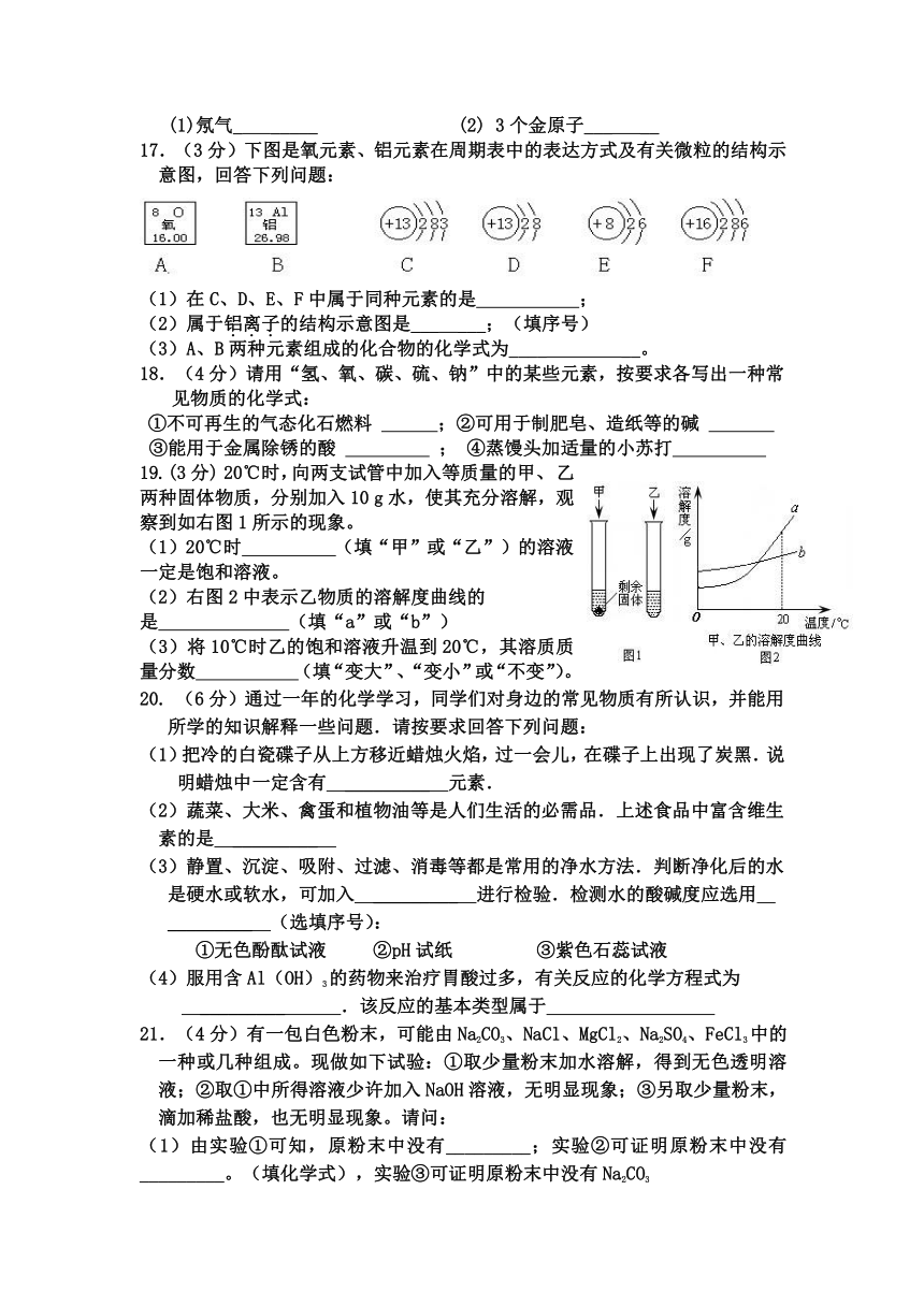 关坝中学2013年中考化学模拟试题（二）（无答案）