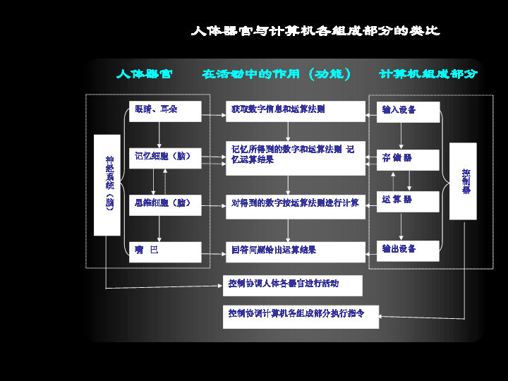 宁夏版信息技术七年级上册1.3.1计算机硬件系统的组成与基本结构 课件(共45张PPT)