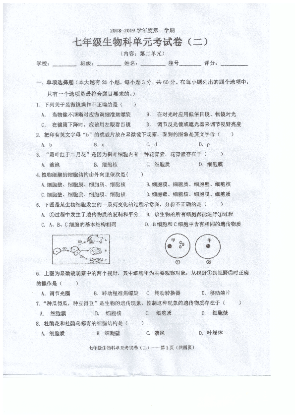 广东省汕头市潮南区2018-2019学年七年级10月月考生物试题（PDF版,含答案）