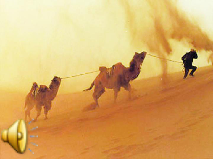 Module 4 Sandstorms in Asia Writing 课件（28张PPT）