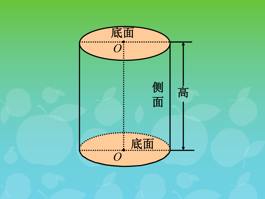 数学六年级下浙教版4.16圆柱与圆锥的认识 课件 (54张)