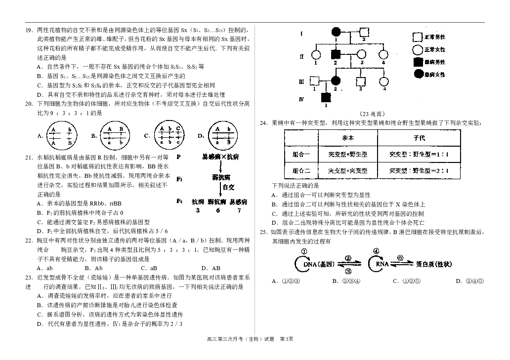 河南省虞城高中2020届高三11月月考试题——生物试题