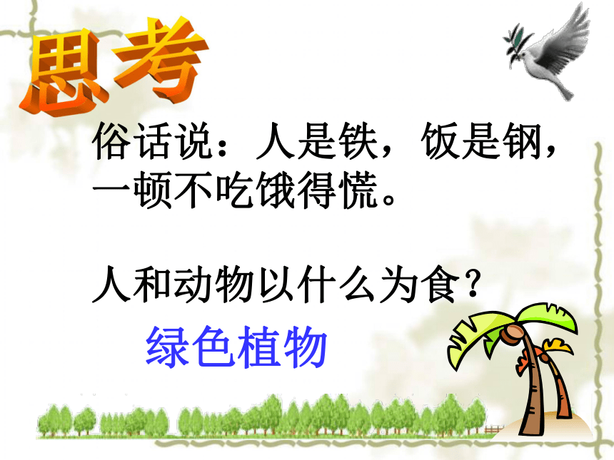 天津市武清区杨村第五中学七年级生物上册 第3单元第4章 绿色植物是生物圈中有机物的制造者 课件(共16张PPT)