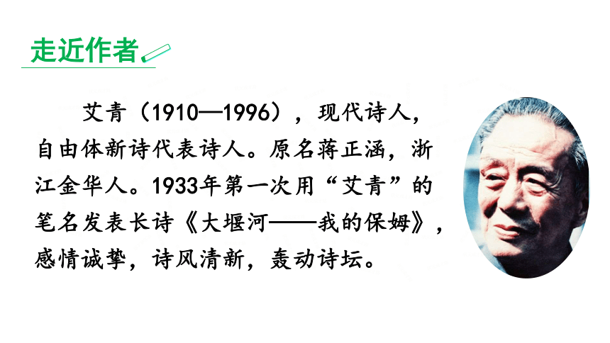 九年级上册(2018部编）第一单元《名著导读（一）《艾青诗选》：如何读诗》课件