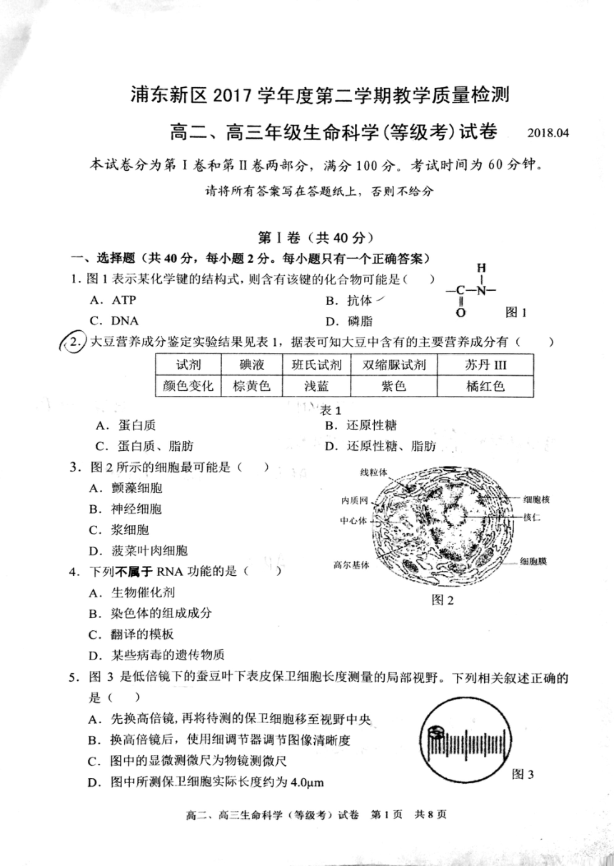 上海市浦东新区2018届高三下学期教学质量检测（二模）生命科学（PDF版）