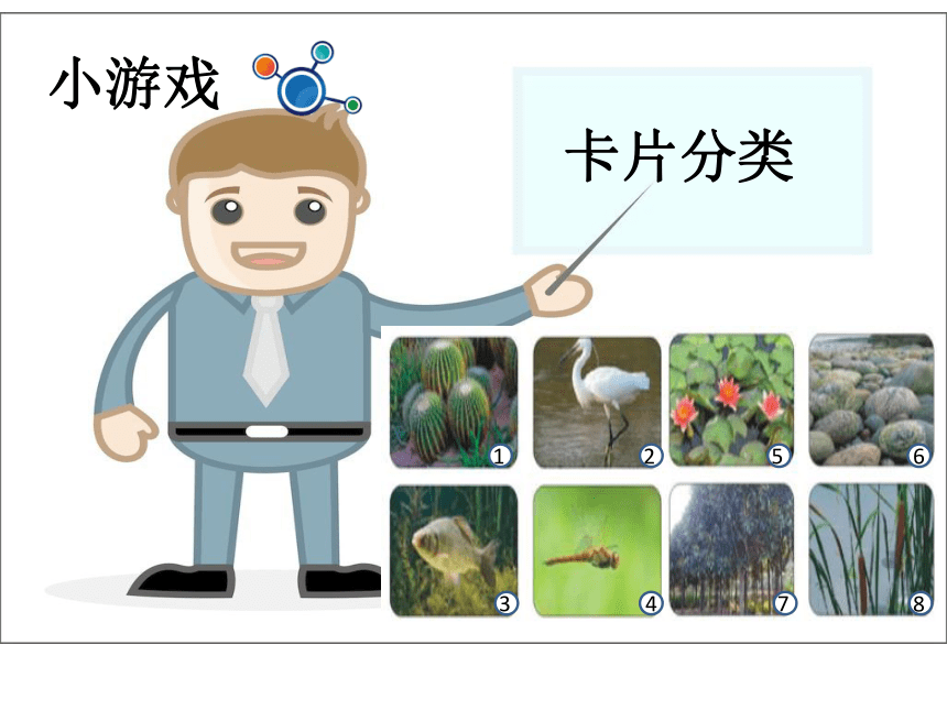 1 我们知道的植物课件（13ppt）