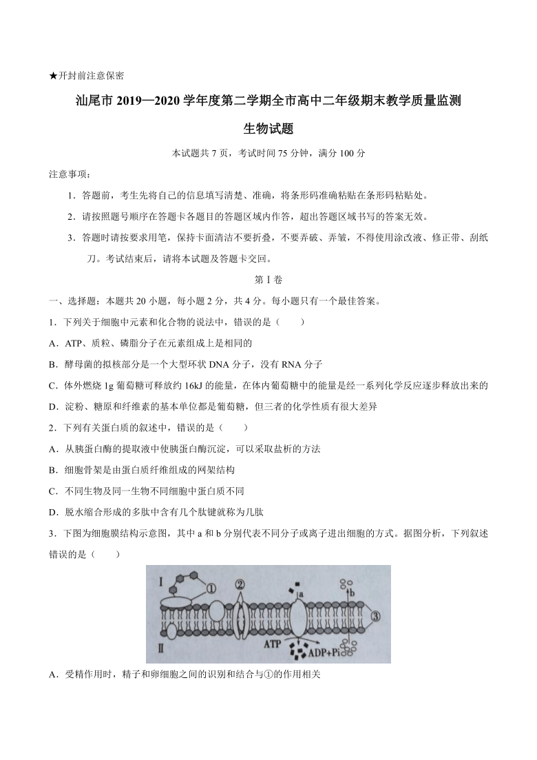 广东省汕尾市2019-2020学年高二下学期全市期末教学质量监测生物试题