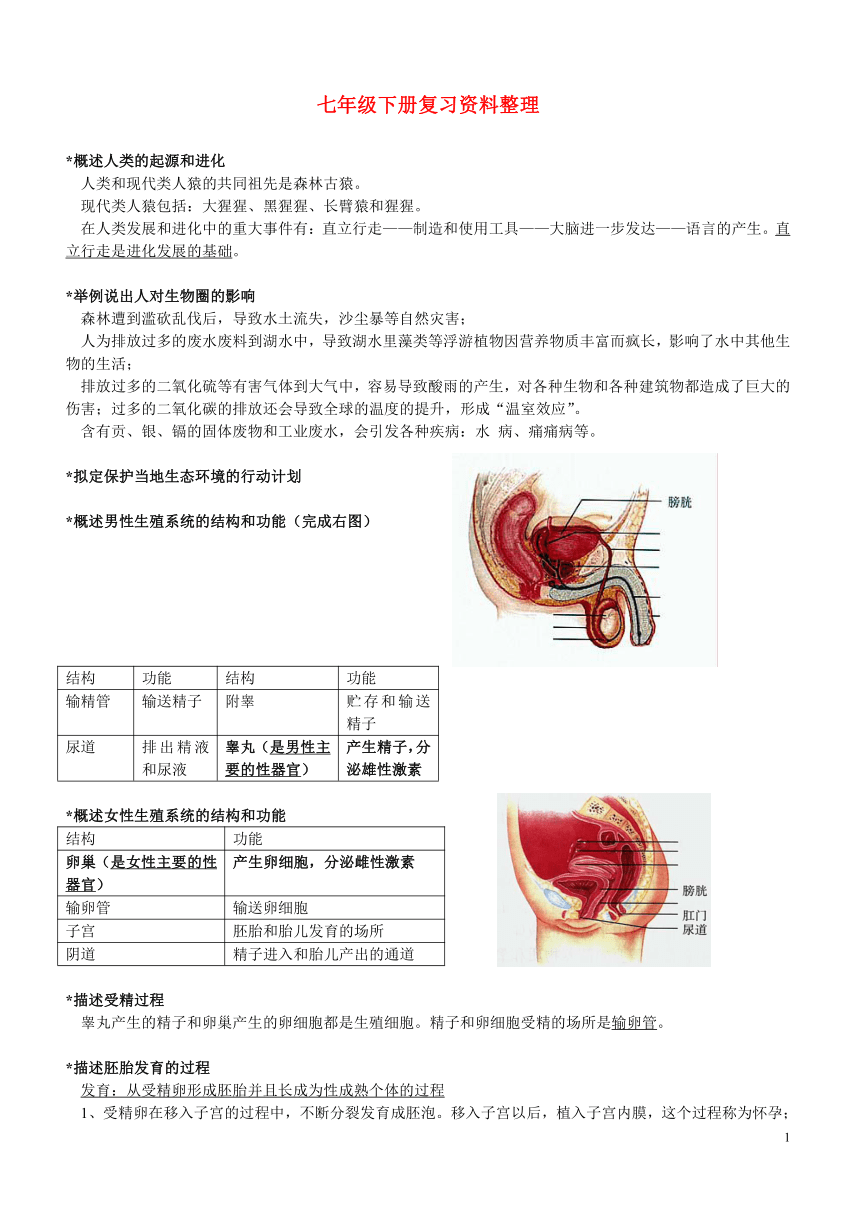 七年级生物下册 复习资料整理 人教版