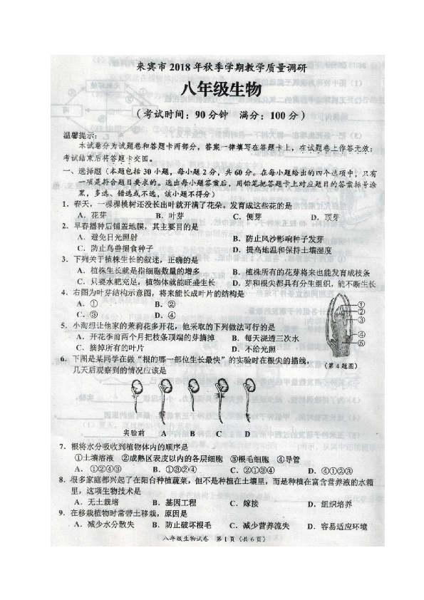 广西来宾市2018-2019学年八年级上学期期末教学质量调研生物试题（图片版,，含答案）