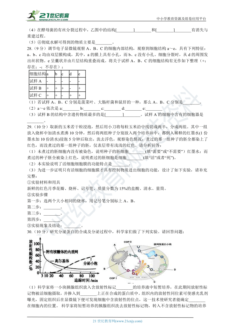 第三章 细胞的基本结构 单元测试（含解析）