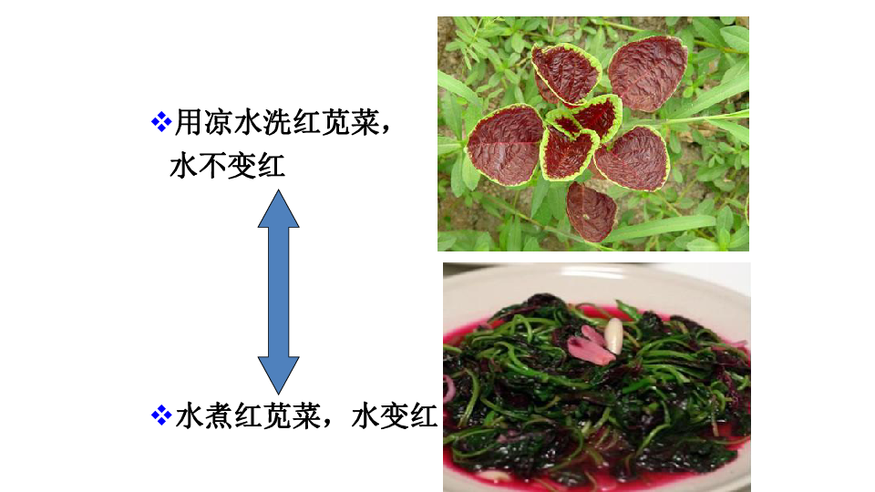 2018-2019学年高中生物人教必修一4.2《生物膜的流动镶嵌模型》（35张PPT）