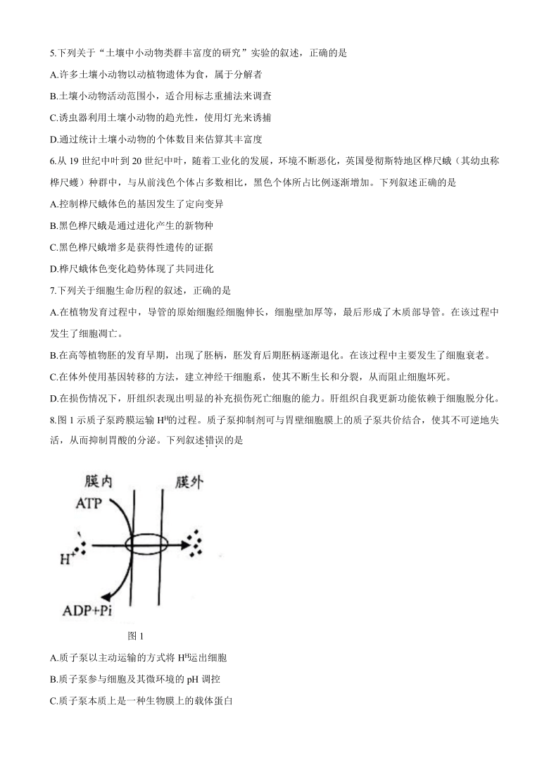 2021年1月广东省普通高中学业水平选择考适应性测试生物试题（word版，无答案）