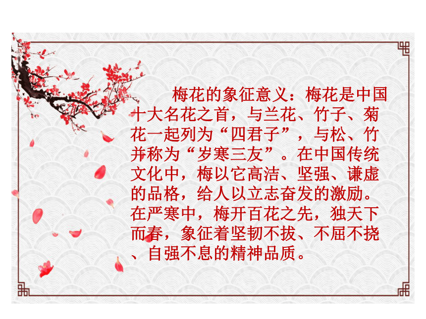 梅花魂的精神图片