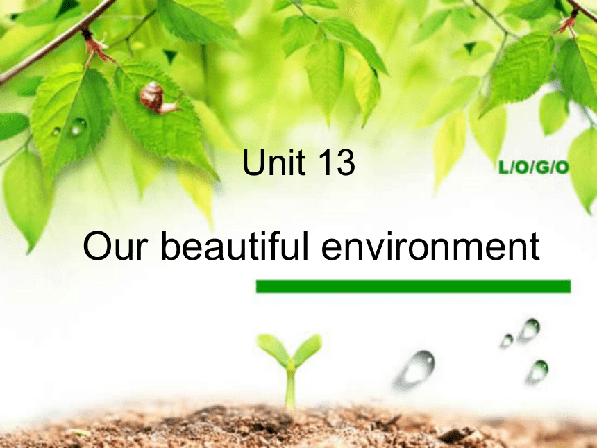 Unit 13 Our beautiful environment 课件