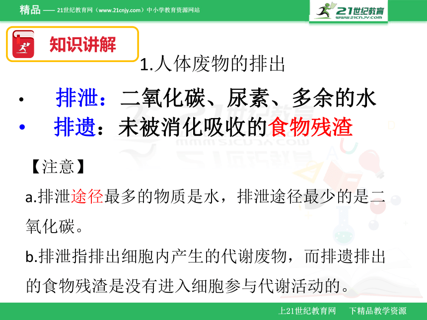 2018年广东省生物会考七年级下册复习课件 第五章（课件）