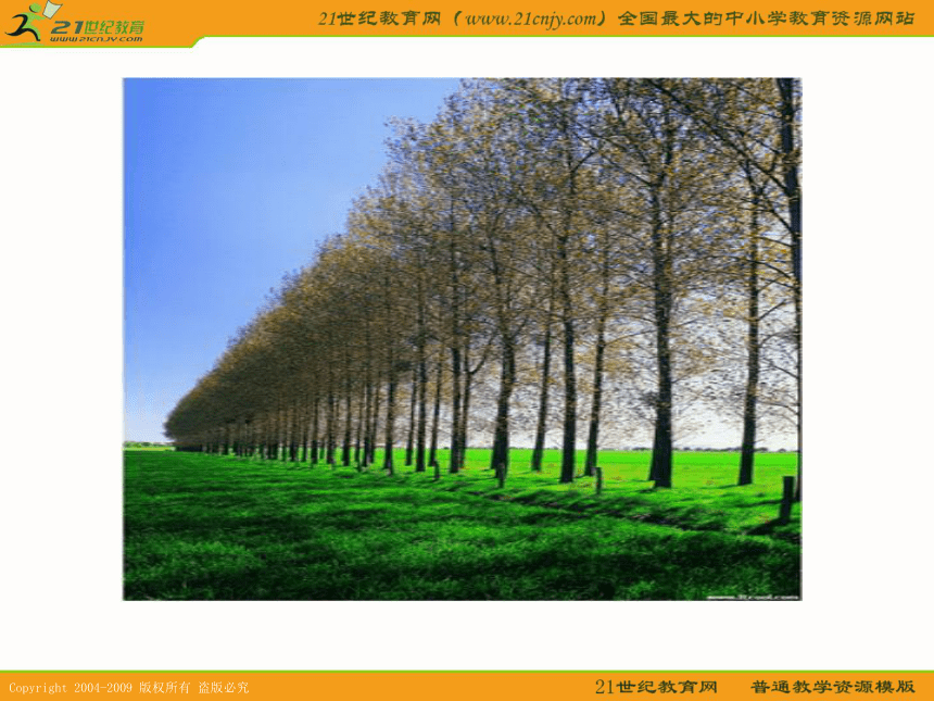 四年级数学下册课件 植树问题 3（北京版）