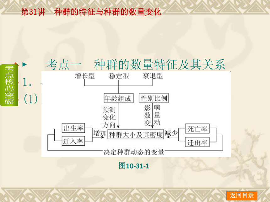 【新课标人教通用，一轮基础查漏补缺】第31讲　种群的特征与种群的数量变化 （56ppt）