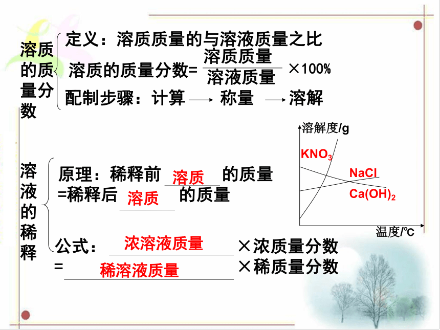 广东省中山市马新中学人教版2016年初中化学中考专题复习课件  专题15  溶液及溶解度（共17张PPT）