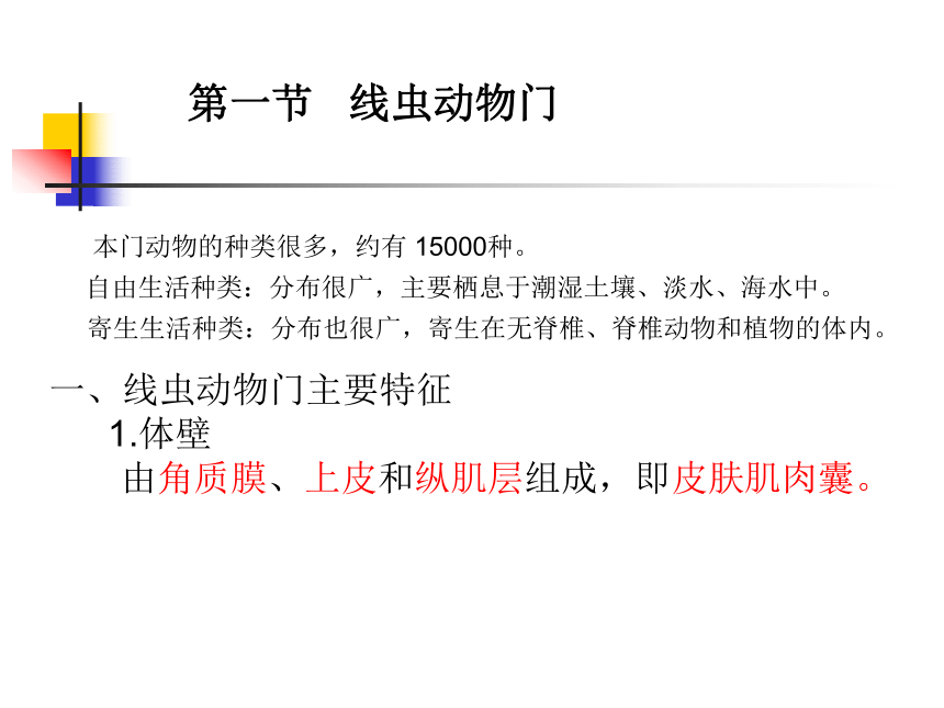 高中生物競賽資料動物學第7章原腔動物門課件共44張ppt